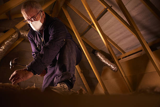Best Insulation Maintenance and Repair in Lyons, NJ